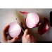 RED ONION MEDIUM  Each Pukekohe Grown